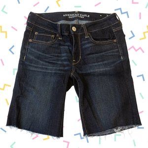 American Eagle Denim Shorts